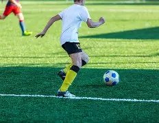 平博体育,产品,平博体育官方,平博体育官方,平博体育在线官网,平博体育线上,平博体育APP