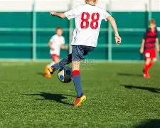 沙特体育全,方位布局,世界杯,平博体育官方,平博体育在线官网,平博体育线上,平博体育APP