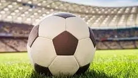 平博体育 产品 225039 fda