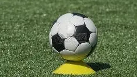 张佳宁与陌生男士亲密互动，恋情疑云笼罩