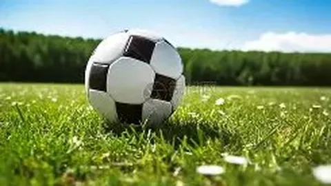 平博体育 产品 225137 6ha